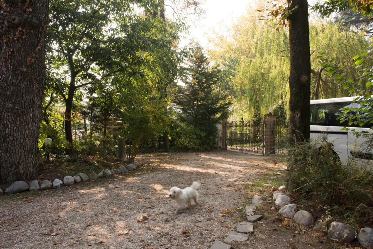 Al Parco Bed & Breakfast Curtatone Exterior photo
